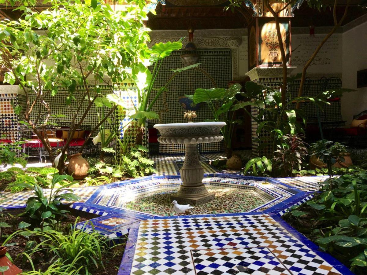 Riad Toyour- Riad Of Birds Fès Exteriér fotografie
