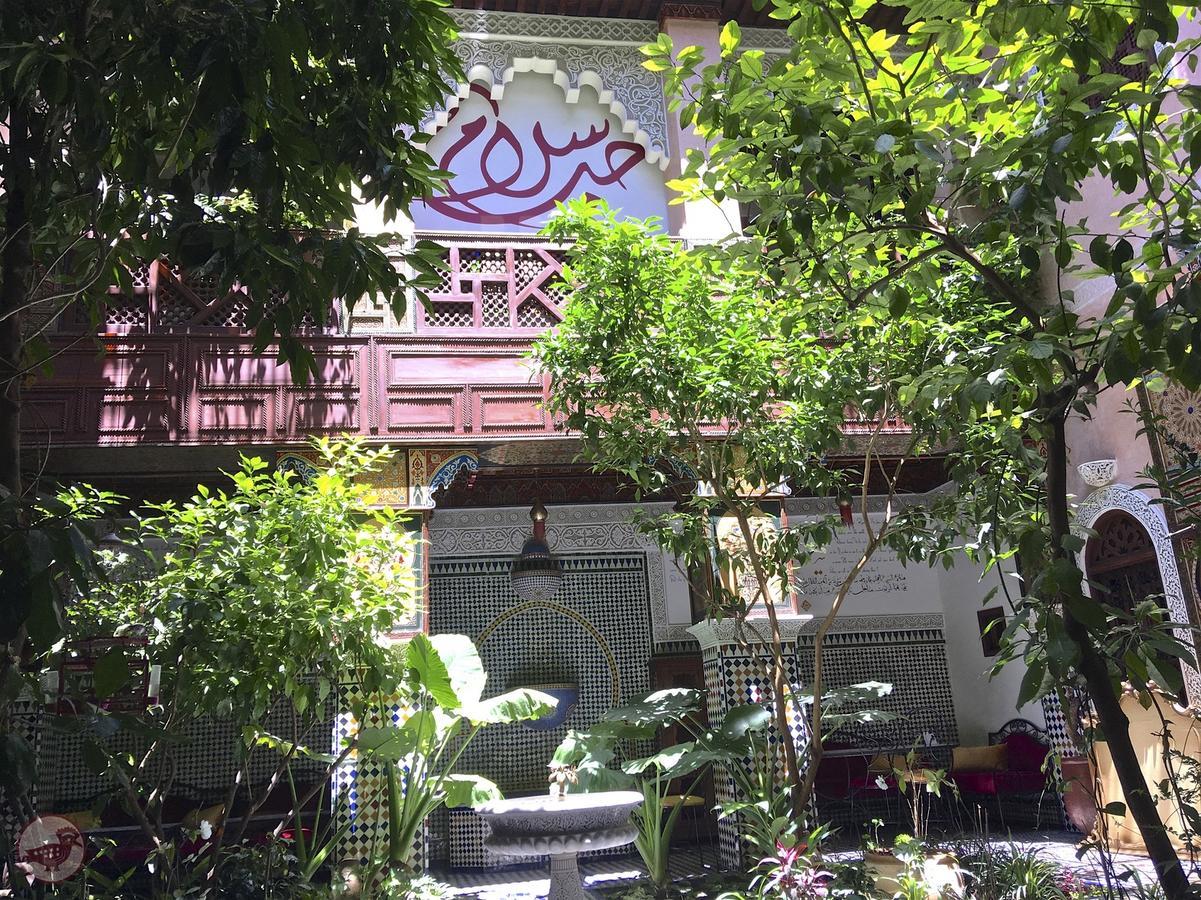 Riad Toyour- Riad Of Birds Fès Exteriér fotografie